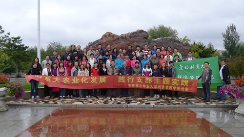 深入学习践行科学发展观,积极开展创先争优活动——记3003新葡平台登录入口党委支部主题实践